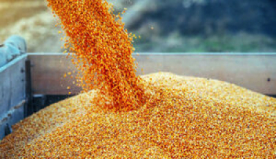 Україна експортує всі залишки зерна до кінця травня,